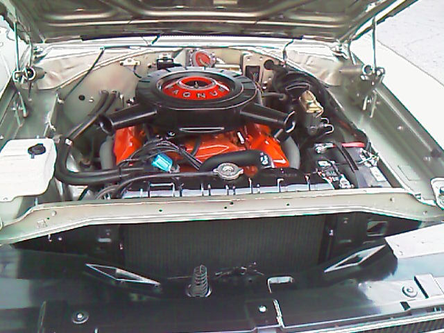 November 10, 2007 photo 2